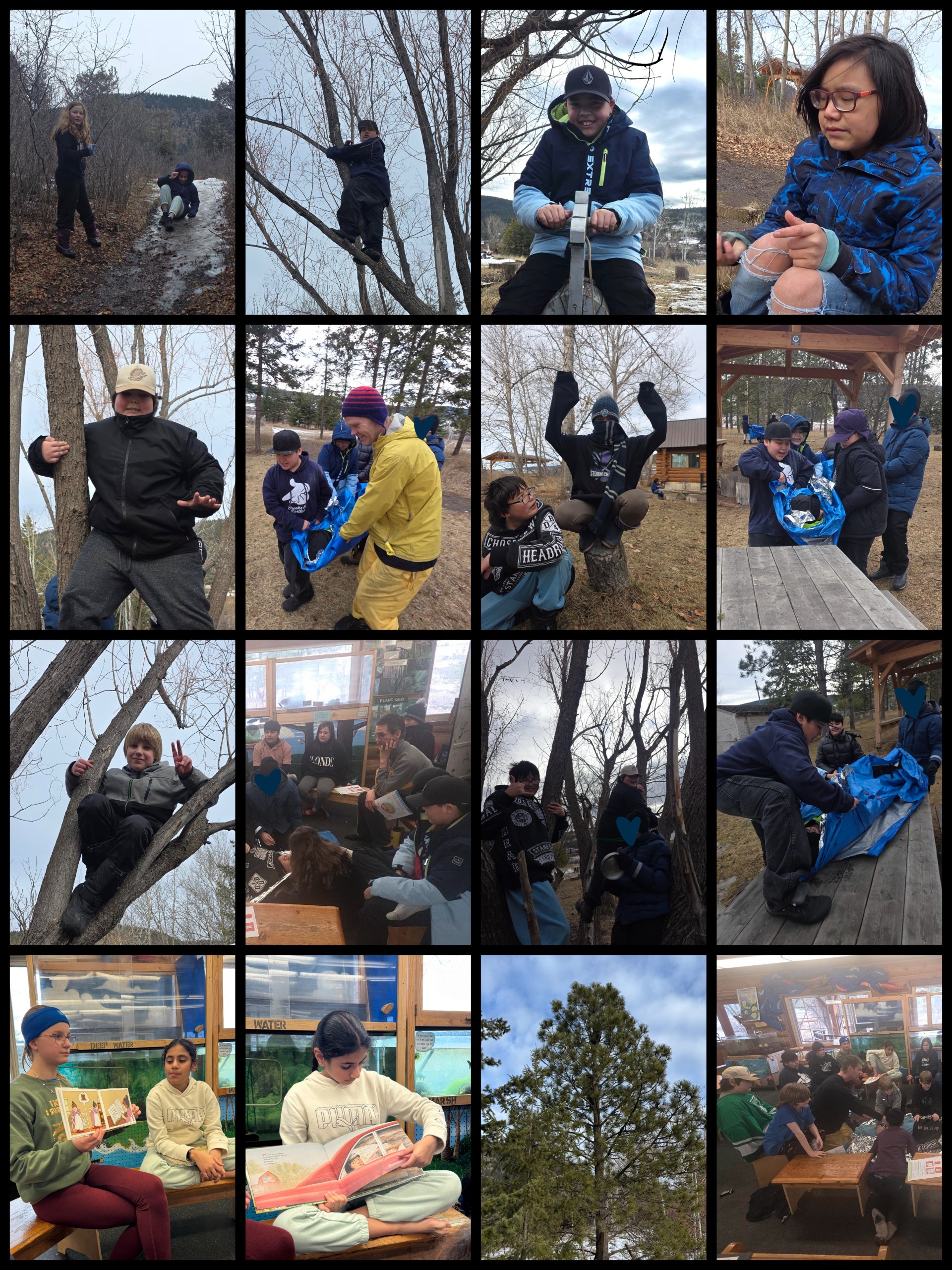 Literacy Week Day 4b marina campsall