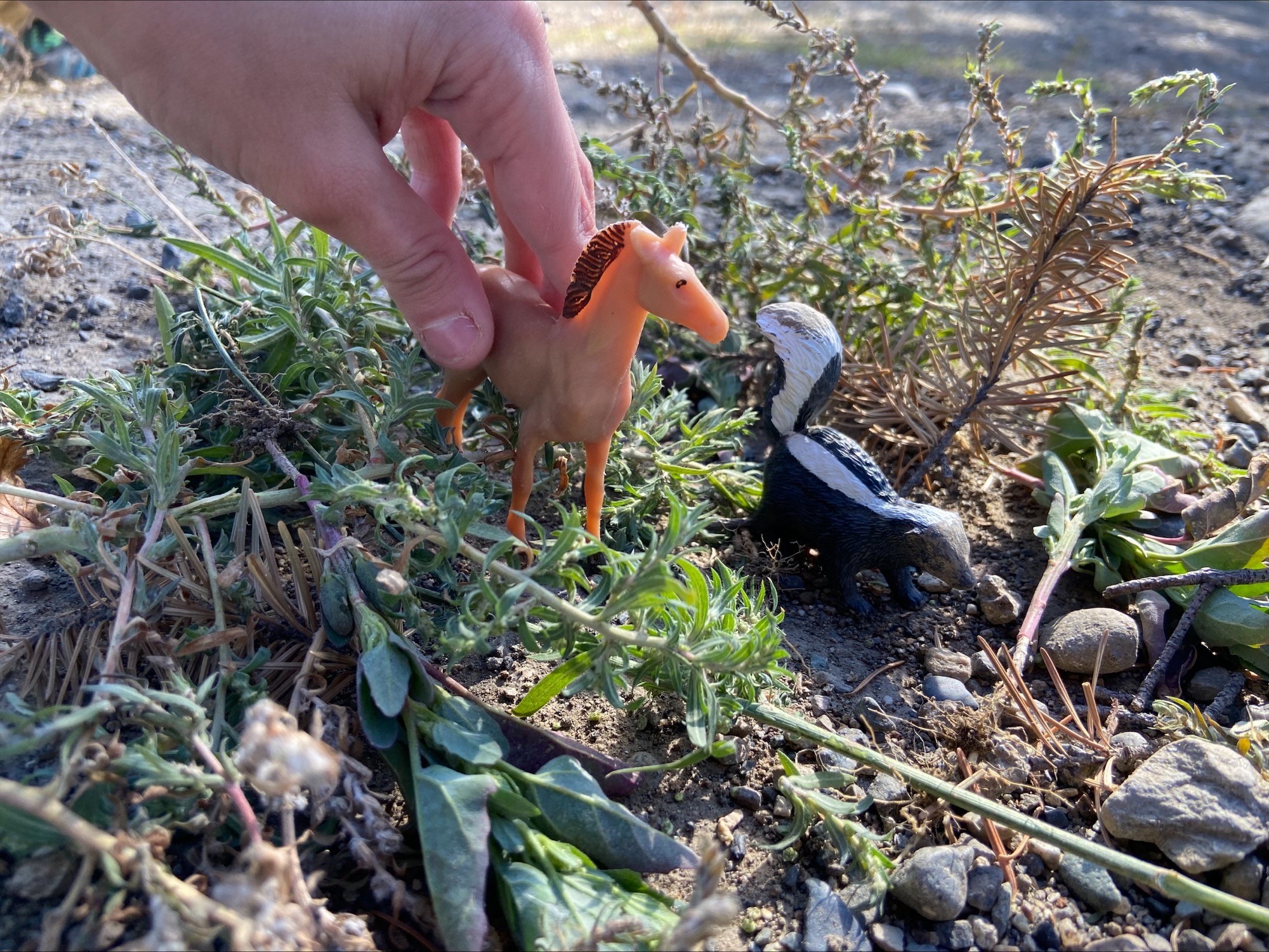 Building habitats 1 heather mckinnon