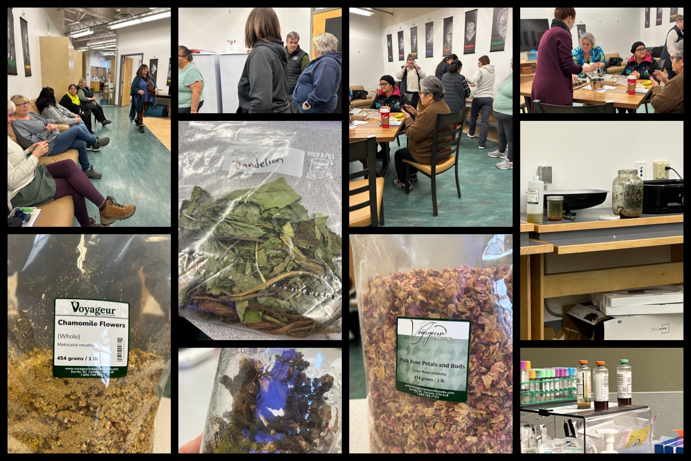 Medicine Series Pro D marina campsall