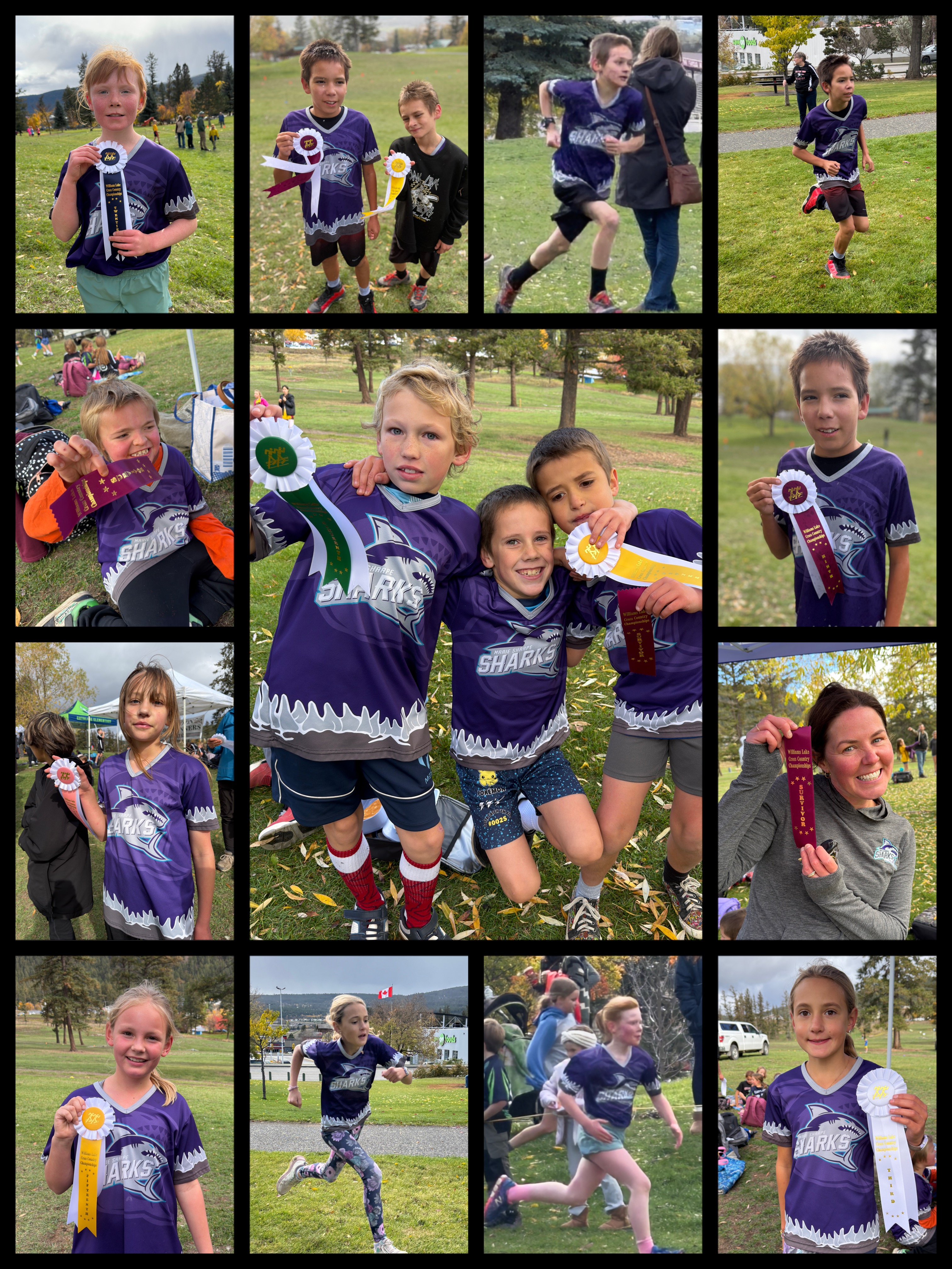 Our Sharks Go the Distance! 2 marina campsall