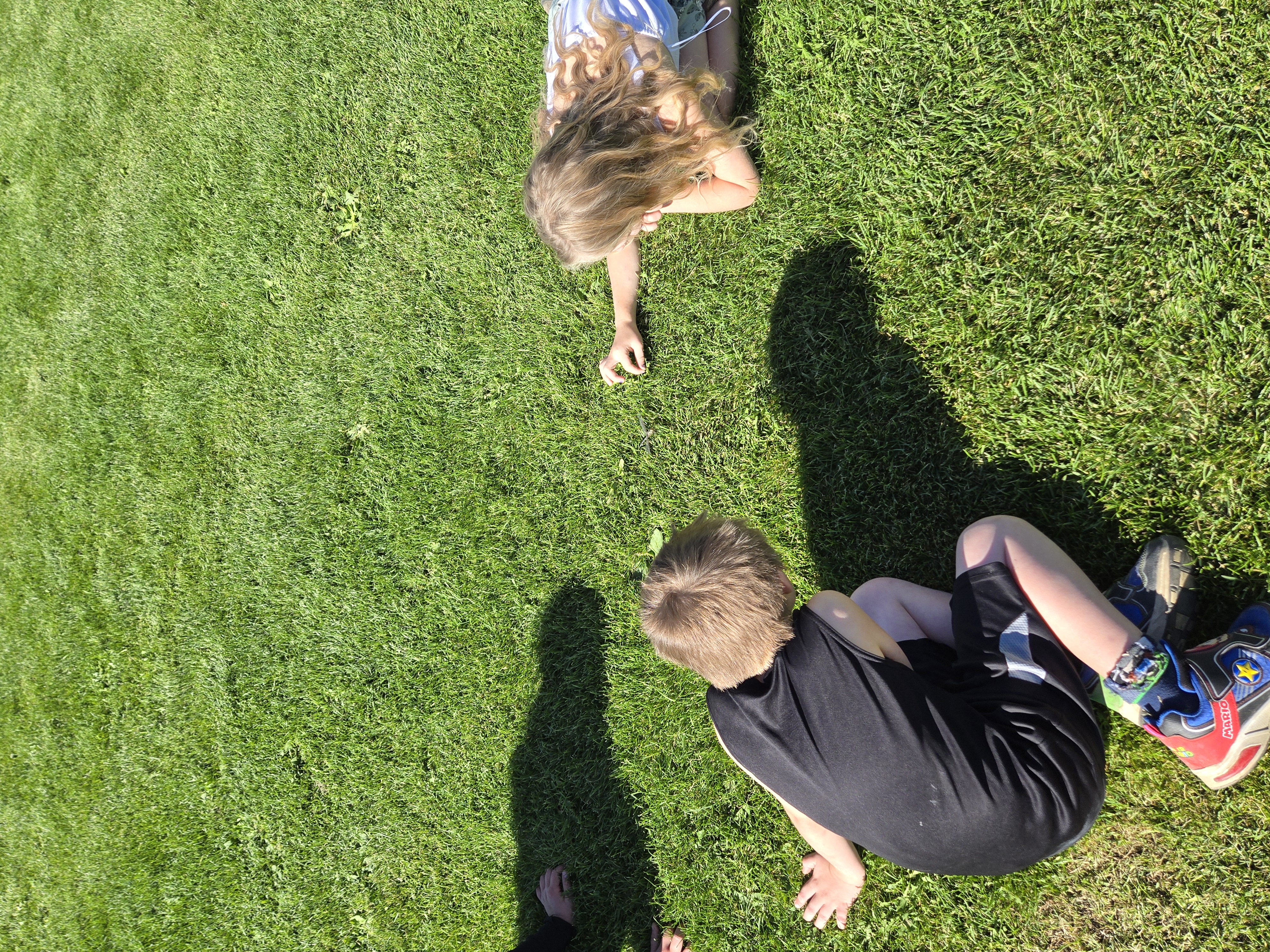 Students Observing a Dragonfly2 marina campsall